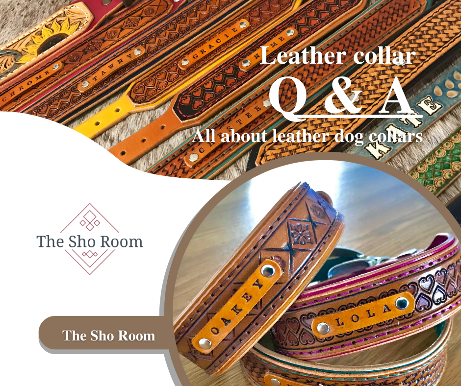 Leather dog collar explained | The Sho Room
