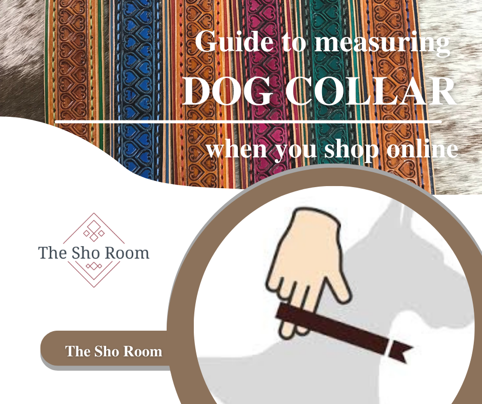 Measuring your new dog collars