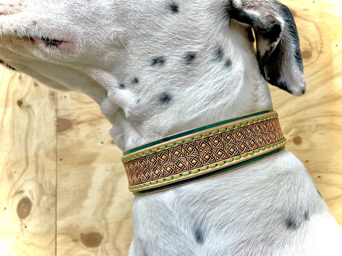 "Celtic knots" Hand carved double layered dog collar - Medium - Large