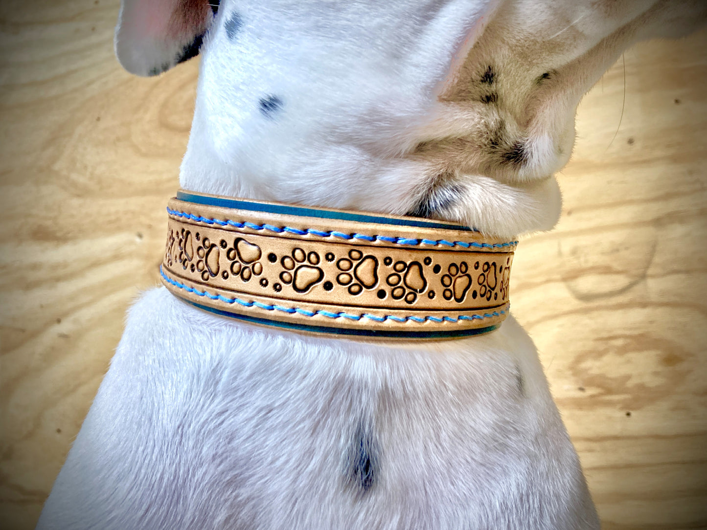 "Paw Print" Hand carved double layered dog collar - Medium - Large