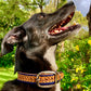 "Basket Weave" Hand carved wide dog collar - Medium - Large