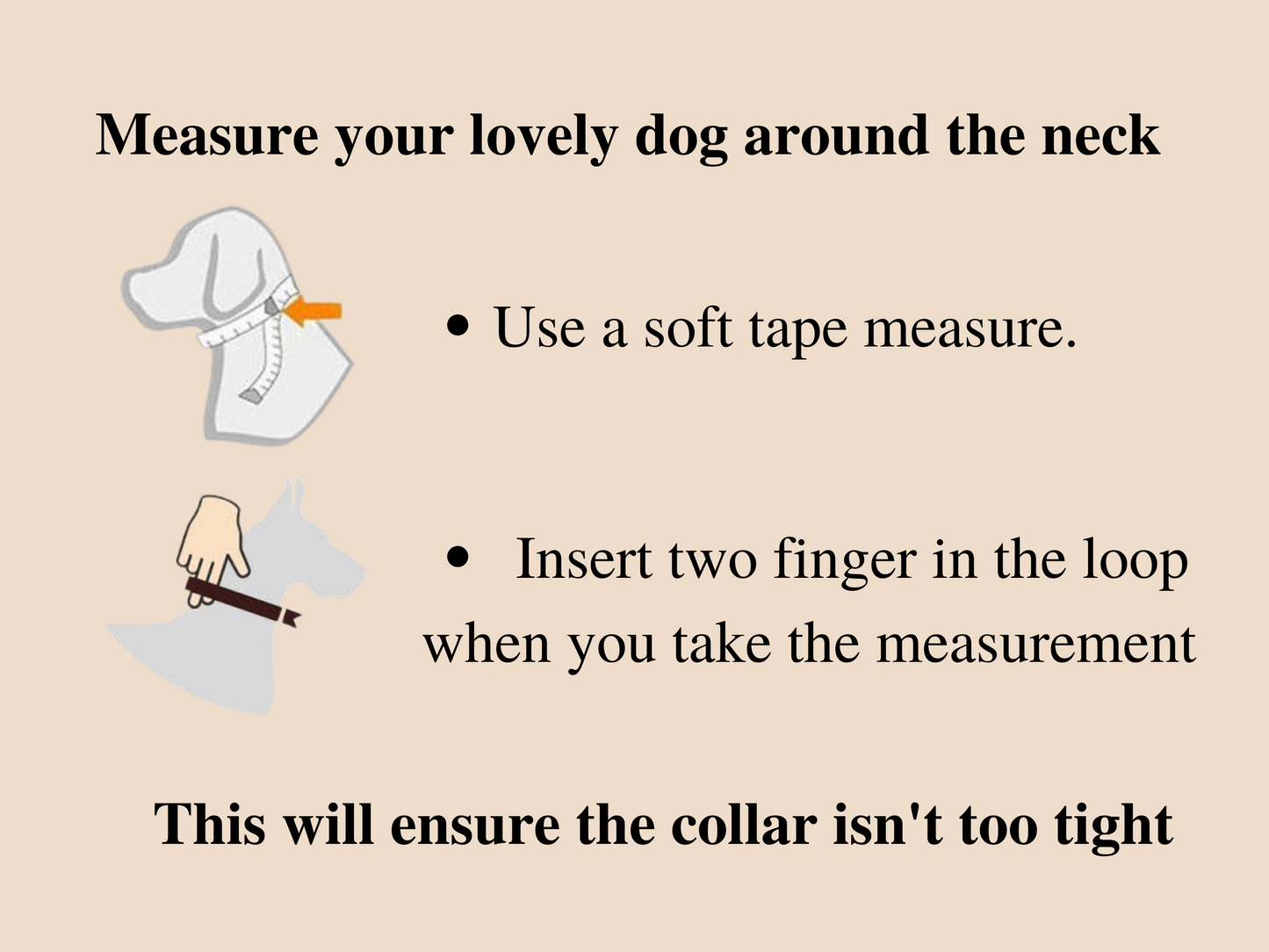 Narrow hand tooled collar for small dogs